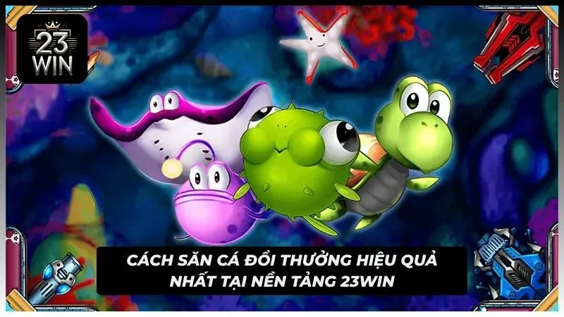 Bí kíp săn quà hữu hiệu