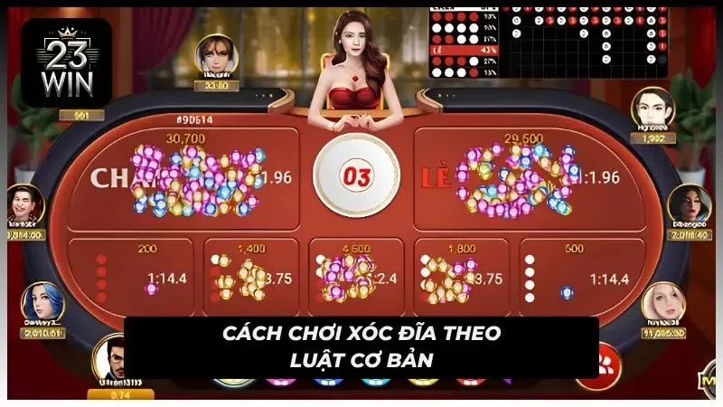 Tân binh bắt buộc nắm rõ cách chơi xóc đĩa