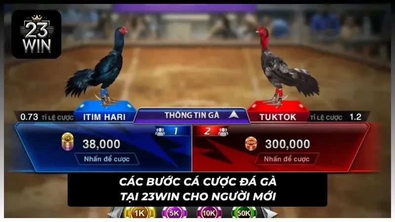 Phiếu cược hiển thị đầy đủ thông tin cần thiết để kiểm tra lại
