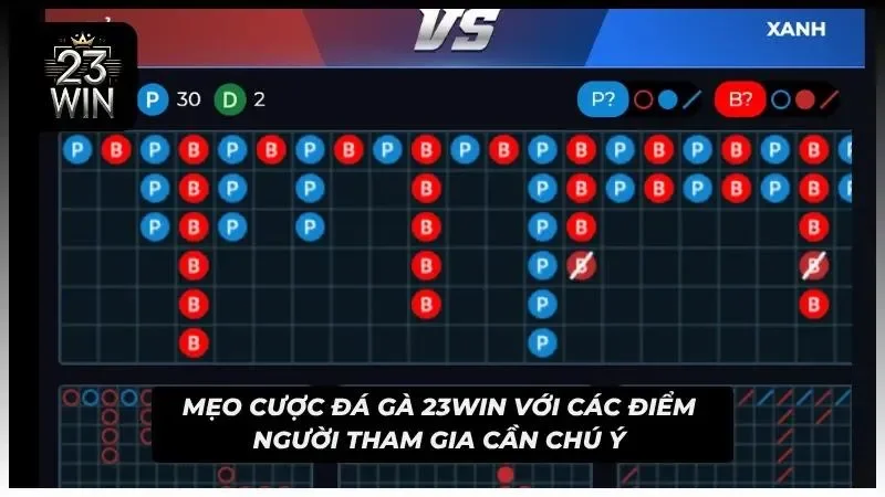 Tham gia trải nghiệm đá gà 23WIN với các điểm cần lưu tâm