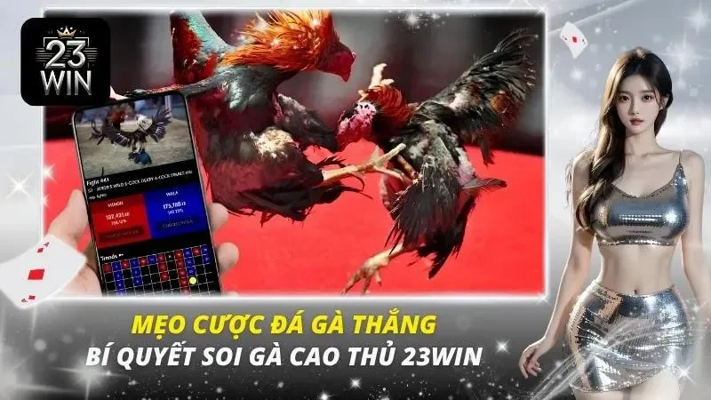 mẹo cược đá gà
