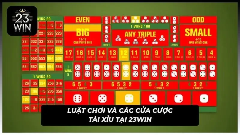 Bảng cược hiển thị đầy đủ lựa chọn cùng tỷ lệ thanh toán