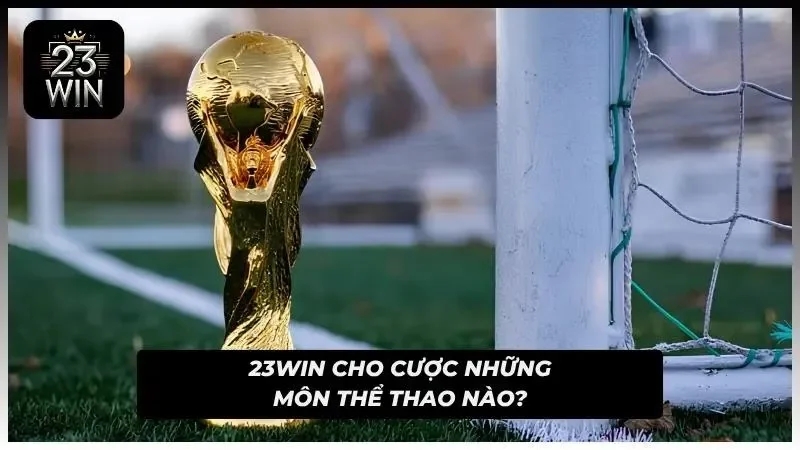 Bóng đá giữ vị trí nổi bật bên cạnh nhiều bộ môn hấp dẫn khác