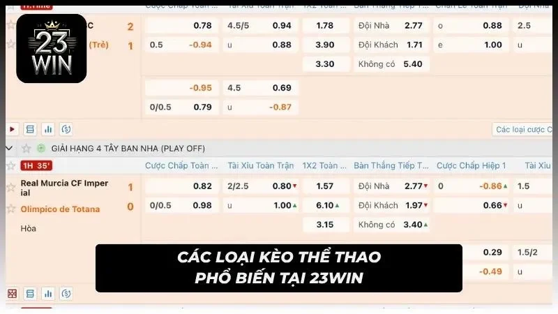 Các dạng cược được sắp xếp rõ ràng và dễ theo dõi